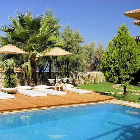 Mandarin-faralya Villa *